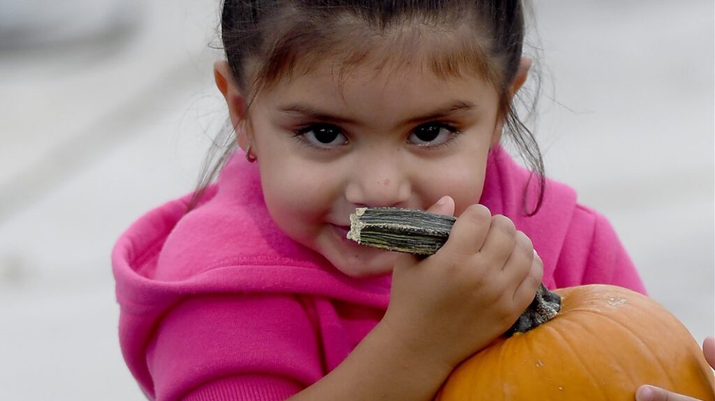 Who doesn't love finding the perfect pumpkin. Find yours in Walworth County.