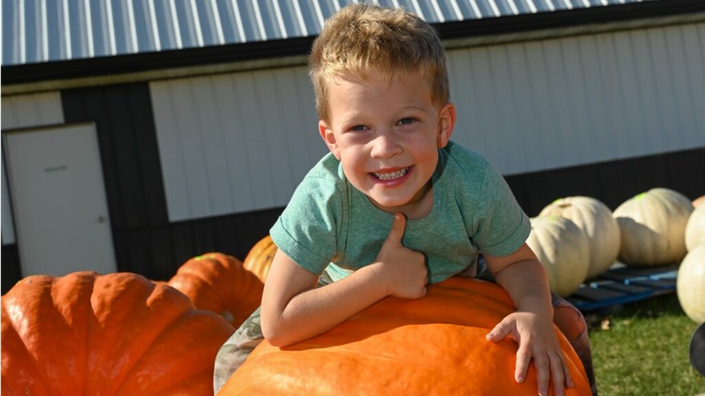 Great fall fun awaits at Pearce's Farm Stand.